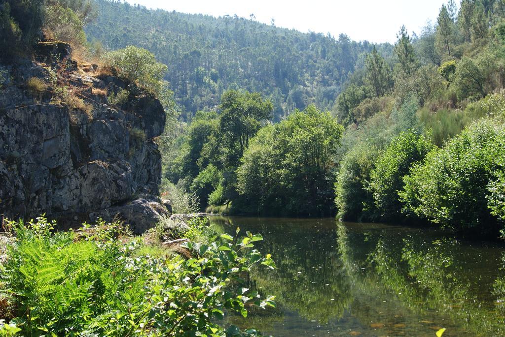 Casa Das Oliveiras Colmeal  Δωμάτιο φωτογραφία